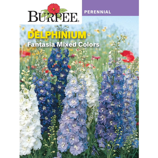 Delphinium Fantasia Mix - Burpee Seeds
