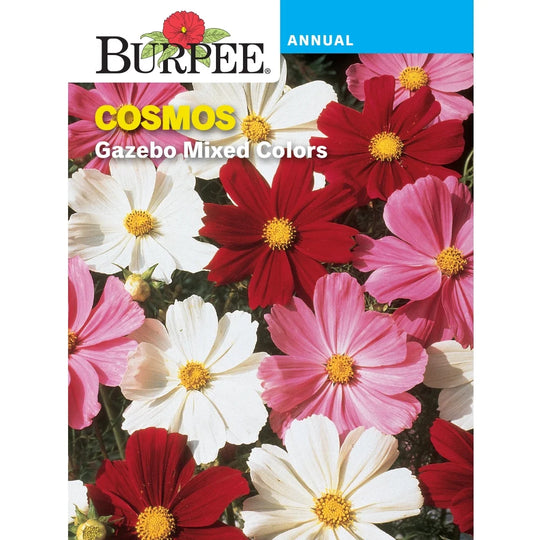 Cosmos Gazebo Mix - Burpee Seeds