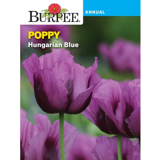 Poppy Hungarian Blue - Burpee Seeds