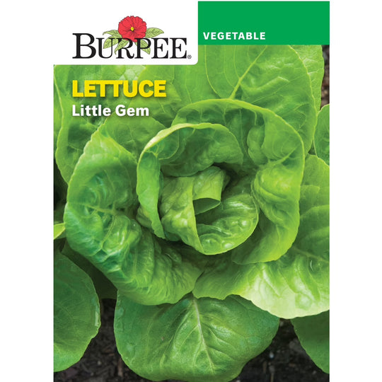 Lettuce Little Gem - Burpee Seeds