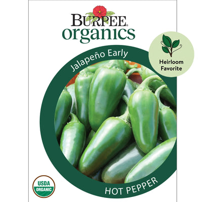 Organic Jalapeño Early - Burpee Seeds