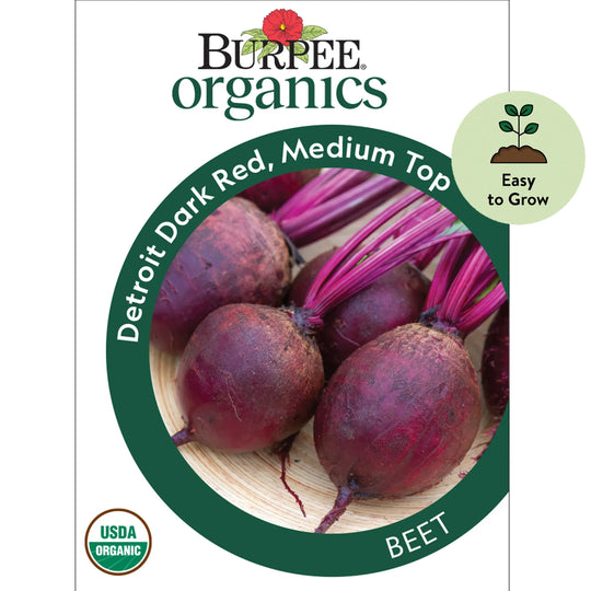 Organic Beet Detroit Dark Red - Burpee Seeds