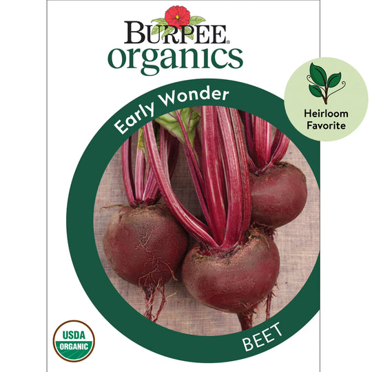 Organic Beet Early Wonder -  Burpee Seeds