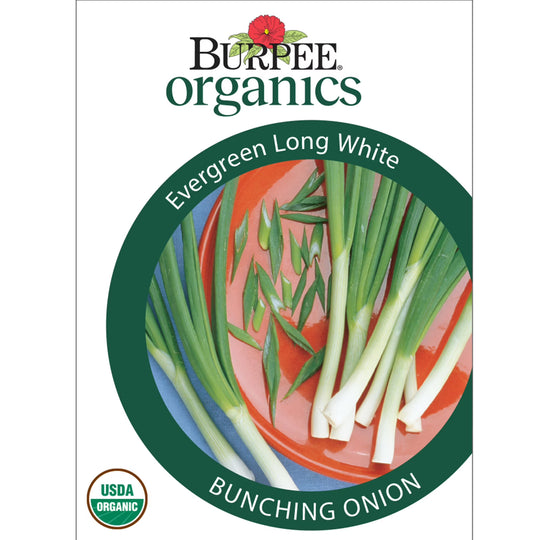 Organic Onion Long White - Burpee Seeds