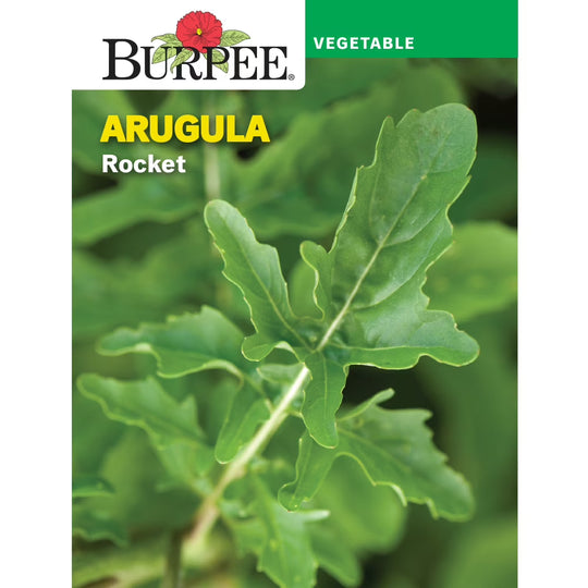 Arugula Rocket (Roquette) - Burpee Seeds