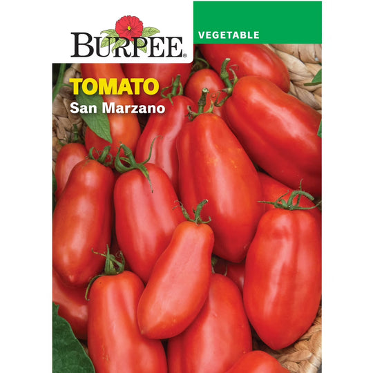 Tomato San Marzano - Burpee Seeds