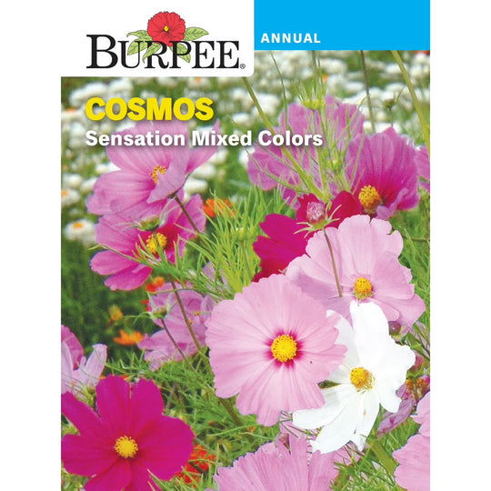 Cosmos Sensation Mix - Burpee Seeds