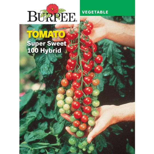 Tomato Super Sweet 100 - Burpee Seeds