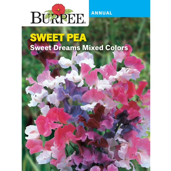 Sweet Pea Sweet Dreams Mix - Burpee Seeds