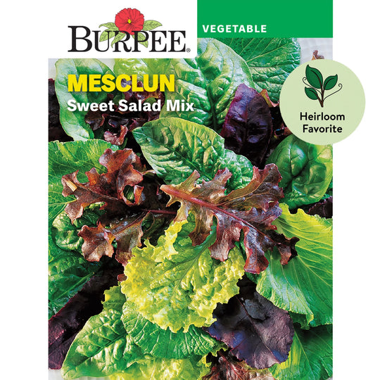 Mesclun Sweet Salad Mix - Burpee Seeds