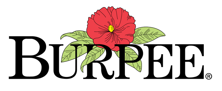 Burpee Logo