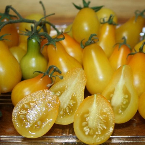 Yellow Pear Tomato - Burpee Seeds