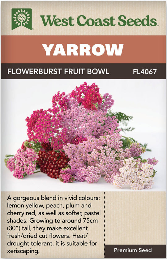 Yarrow Flowerburst Fruit Bowl - West Coast Seeds