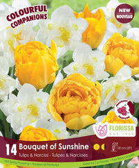 Tulips & Narcissi - Bouquet of Sunshine, Colourful Companions, 14 Pack