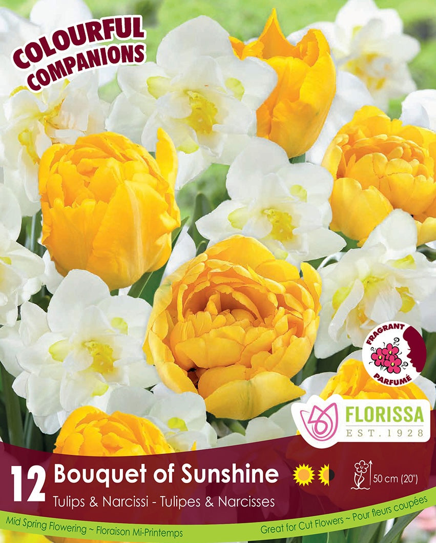 Florissa bouquet of sunshine tulips and narcissi
