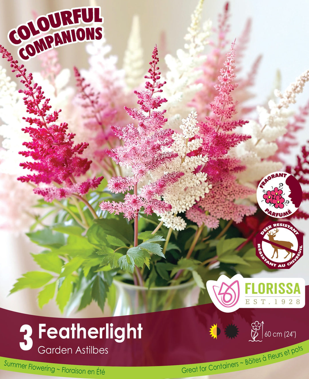 Astilbe - Featherlight, Colourful Companions