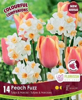 Tulips & Narcissus - Peach Fuzz, Colourful Companions, 14 Pack