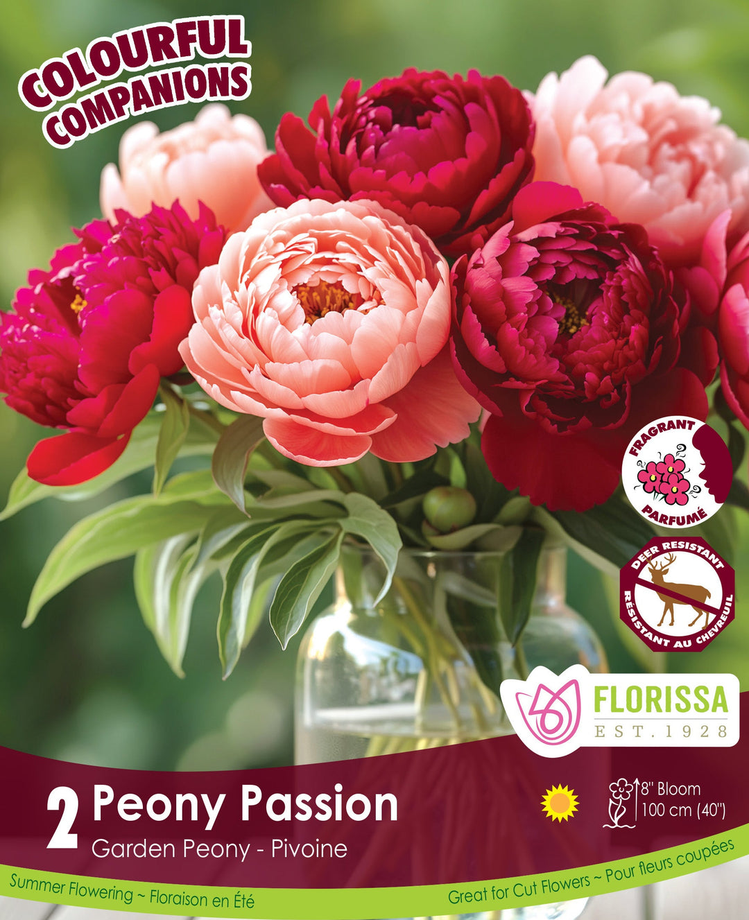 Peony Passion, Colourful Companions