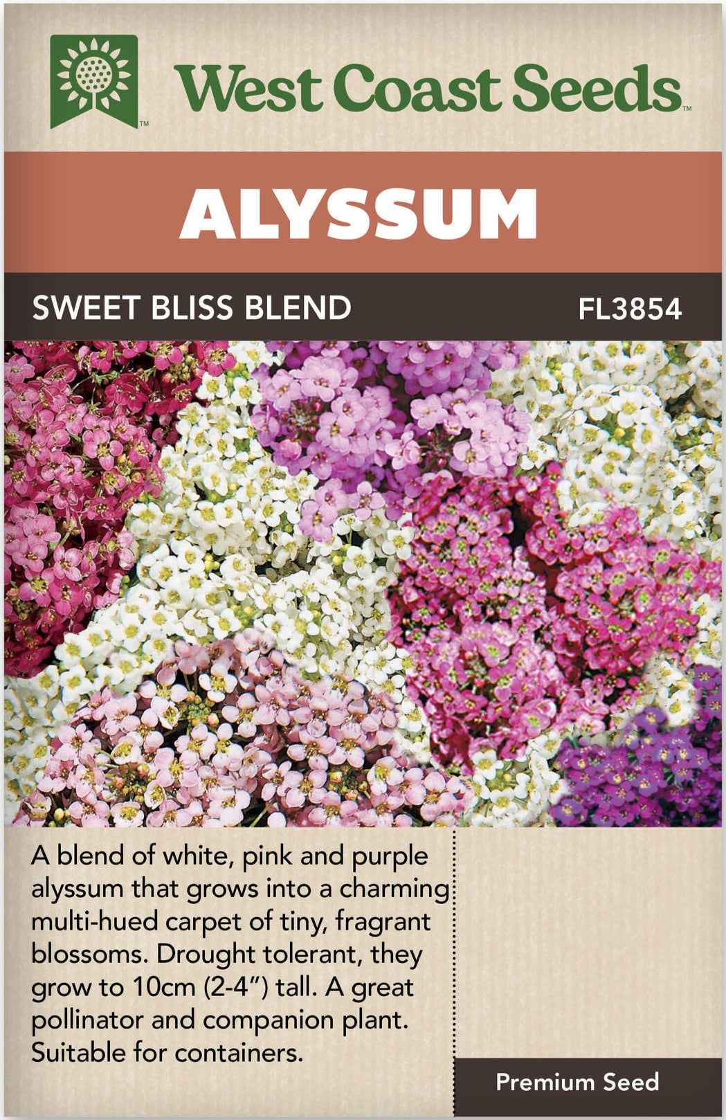 Alyssum Sweet Bliss Blend - West Coast Seeds