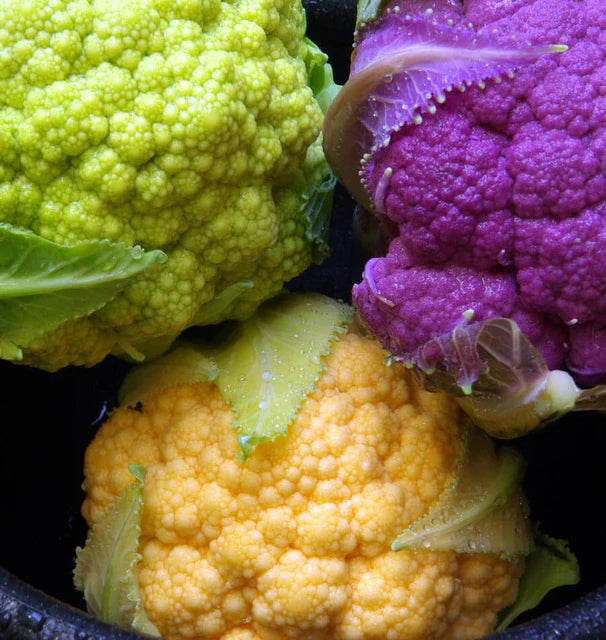 Cauliflower Multi Colour Blend- West Coast Seeds