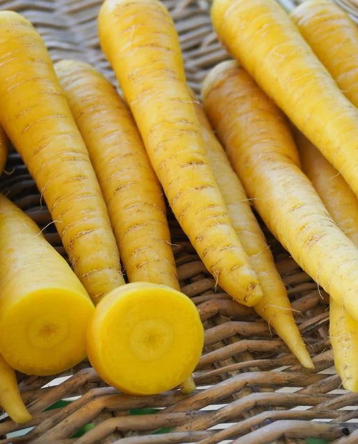 Carrot Gold Nugget - West Coast Seeds