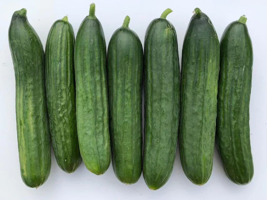 Cucumber Manny - West Coast Seeds