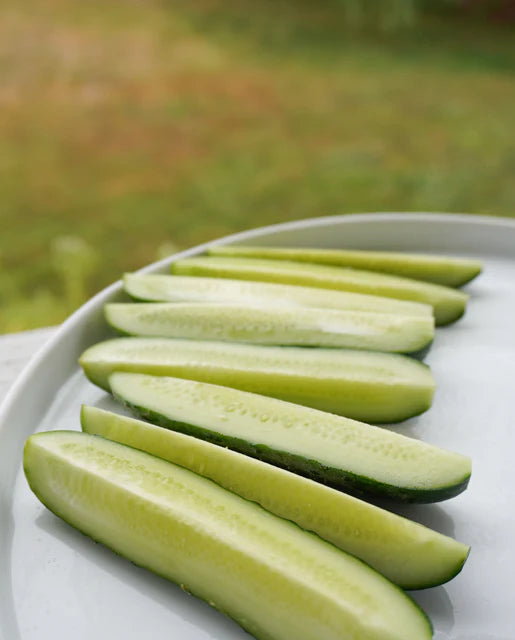 Cucumber Pickling Anya - West Coast Seeds