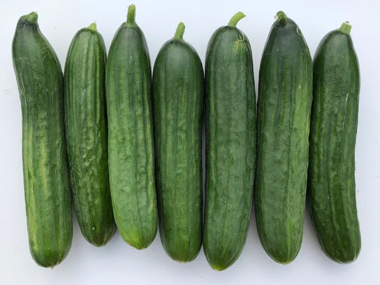 Organic Cucumber Manny - West Coast Seeds