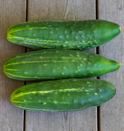 Cucumbers Early Fortune - West Coast Seeds