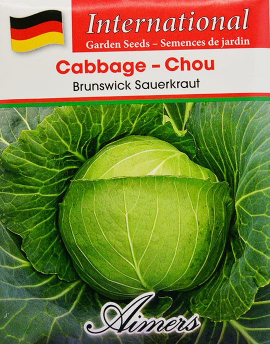 Cabbage Brunswick Sauerkraut International - Aimers Seeds