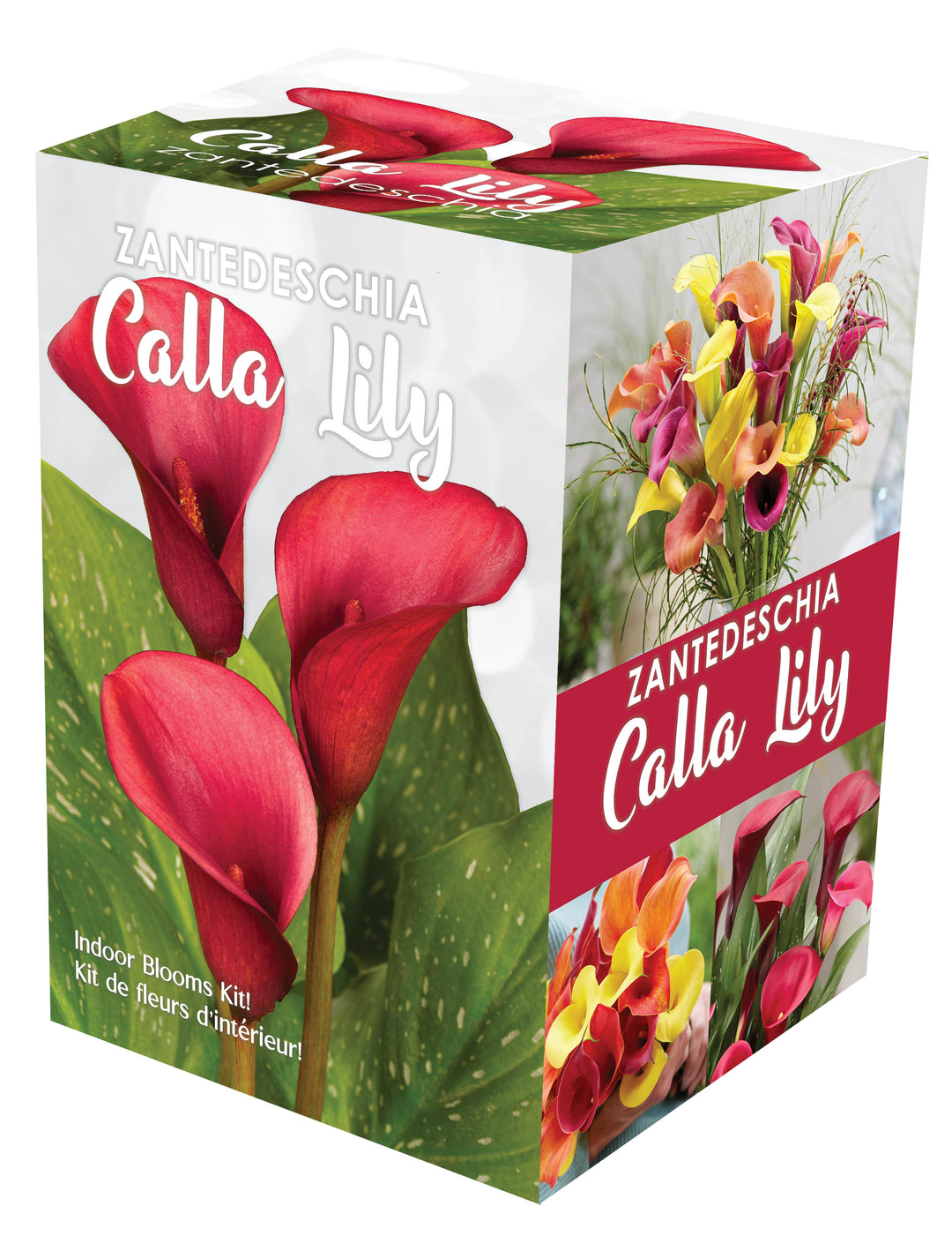 Calla Indoor Gift Kit