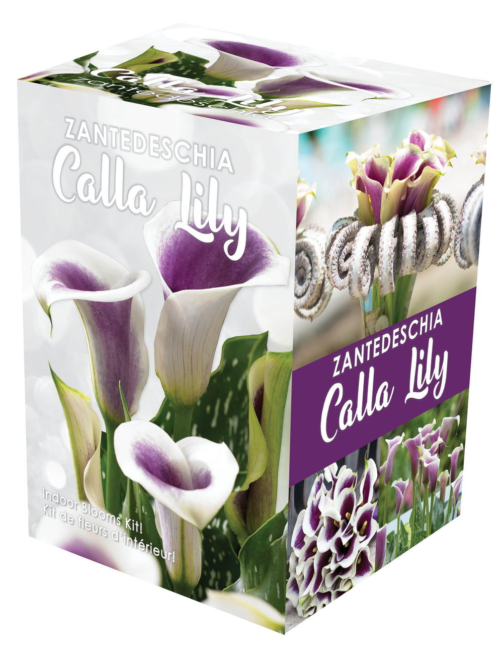 Calla Indoor Gift Kit