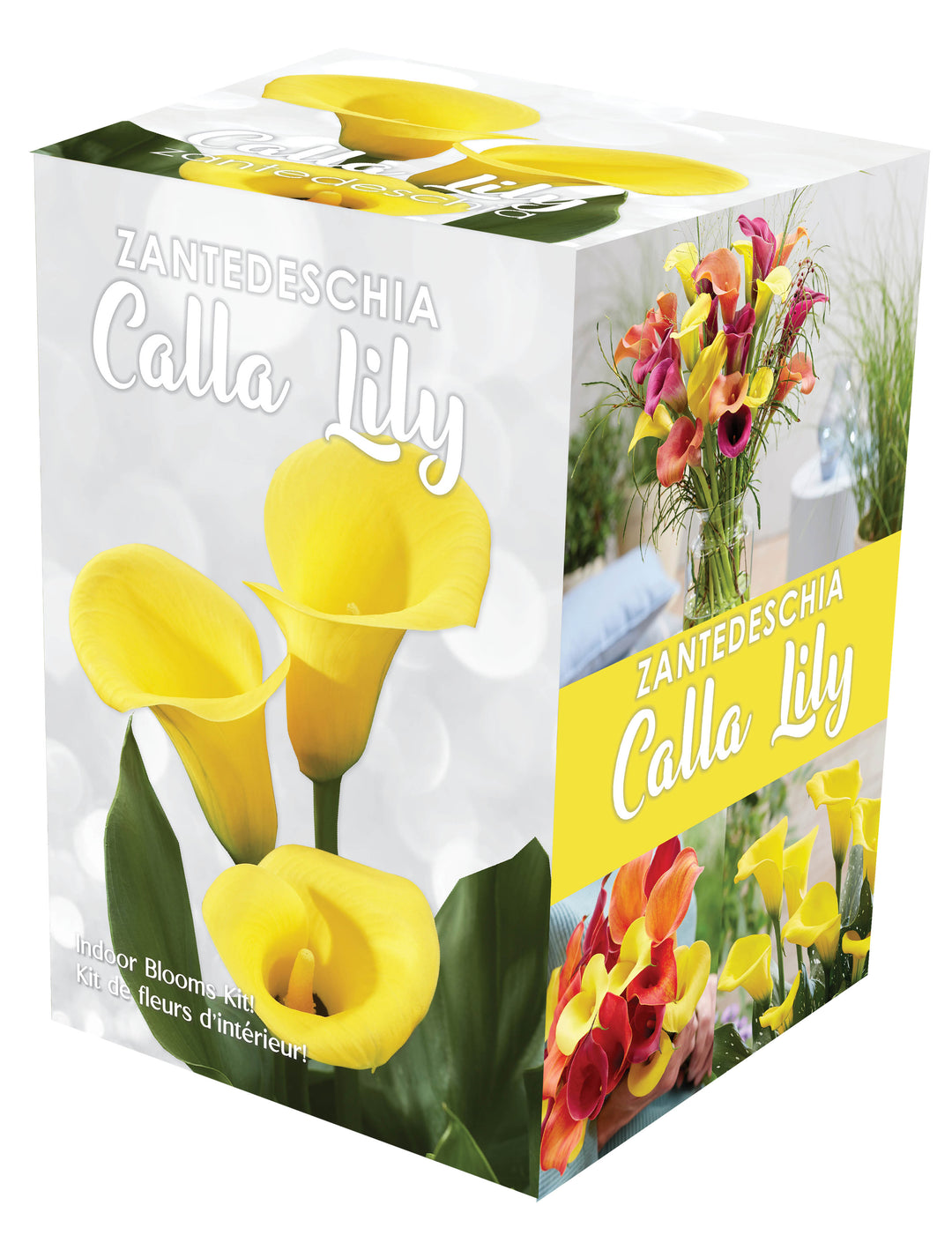 Calla Indoor Gift Kit