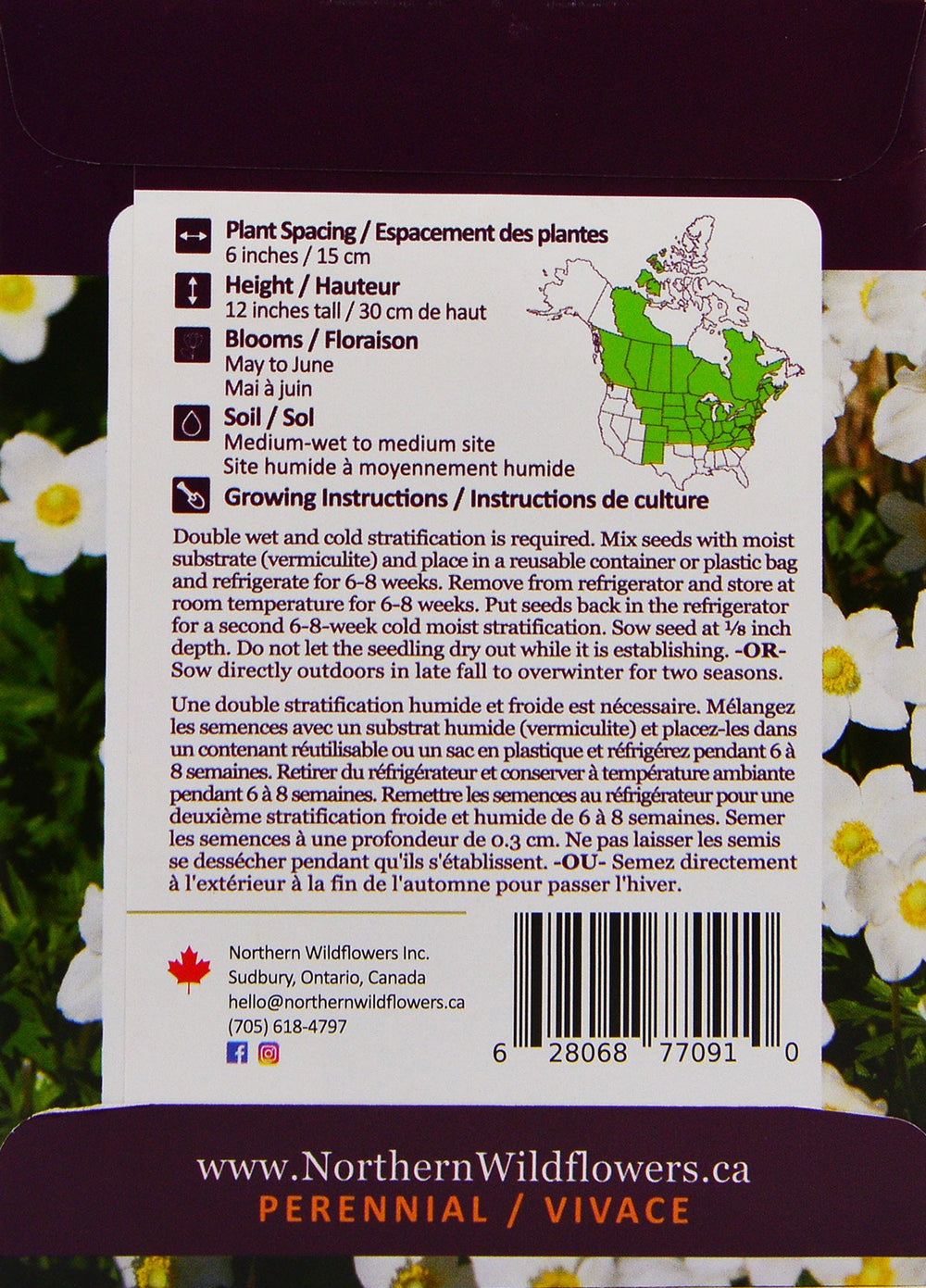 Canada Anemone - Northern Wildflowers