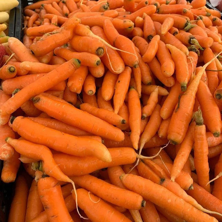 Carrot Touchon Deluxe - Saanich Organics