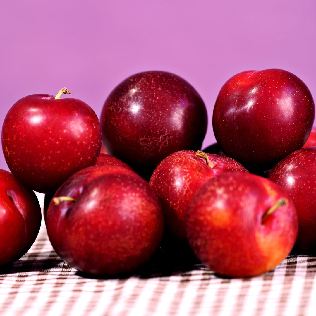 Plum Chum Cherry Plants