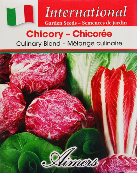 Chicory Culinary Blend International - Aimers Seeds