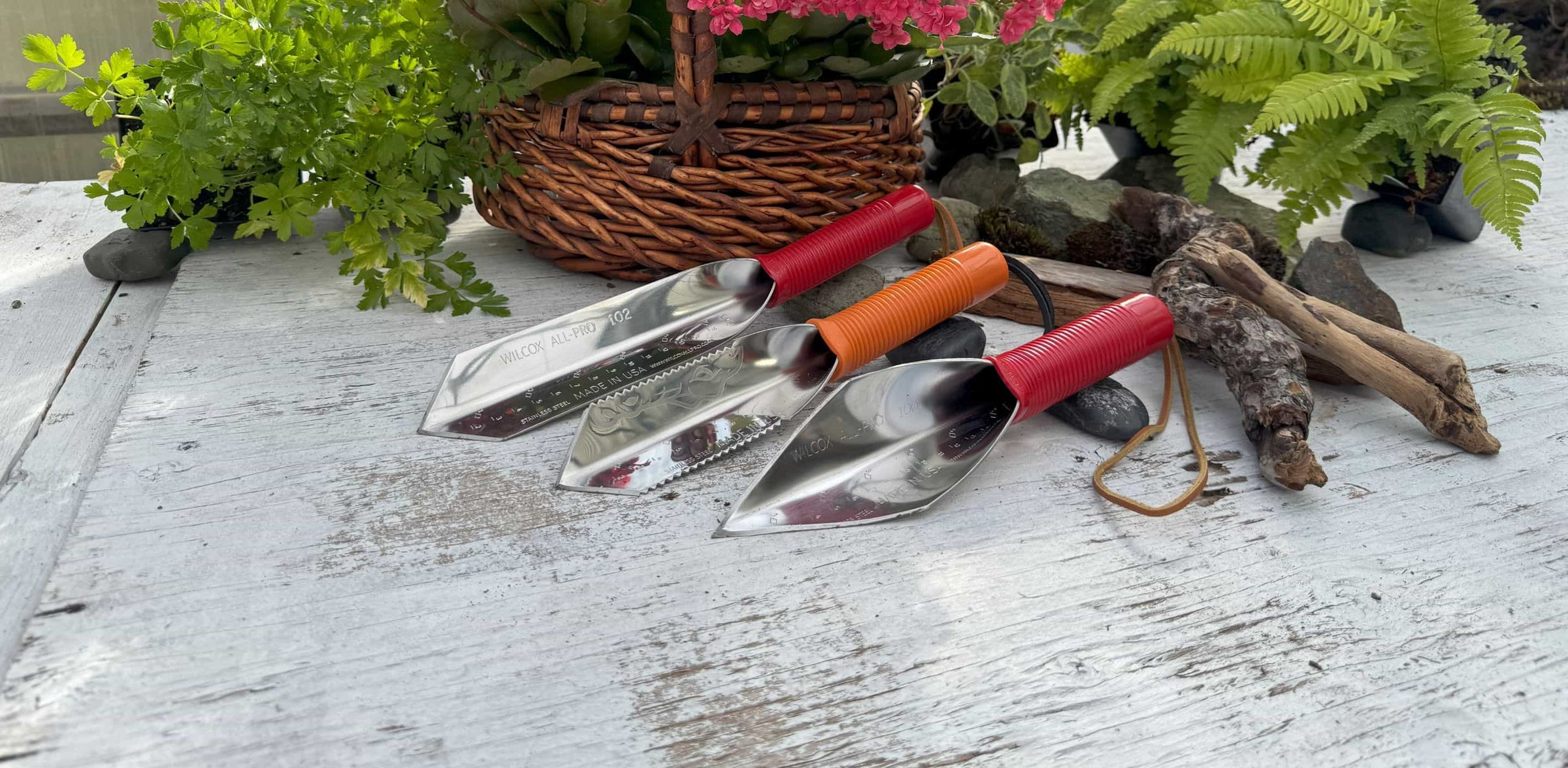 Tulip - Snow Crystal, 6 Pack