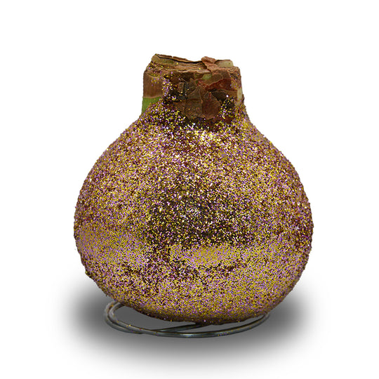 Amaryllis - Waxed Frozen Glitter - Red Bloom