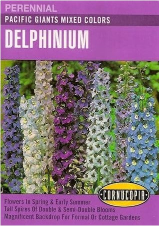 Delphinium Pacific Giants - Cornucopia Seeds