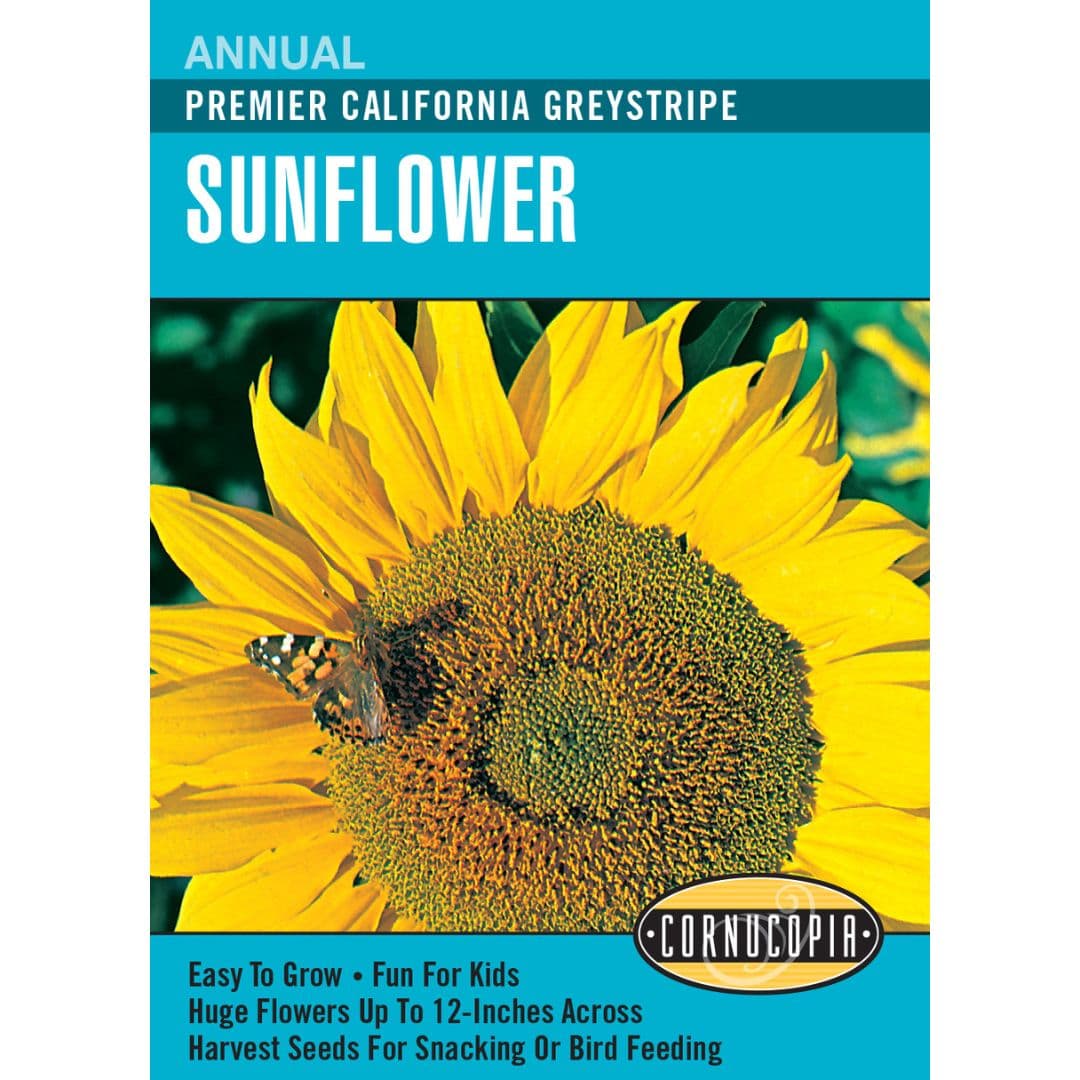 Sunflower California Greystripe - Cornucopia Seeds