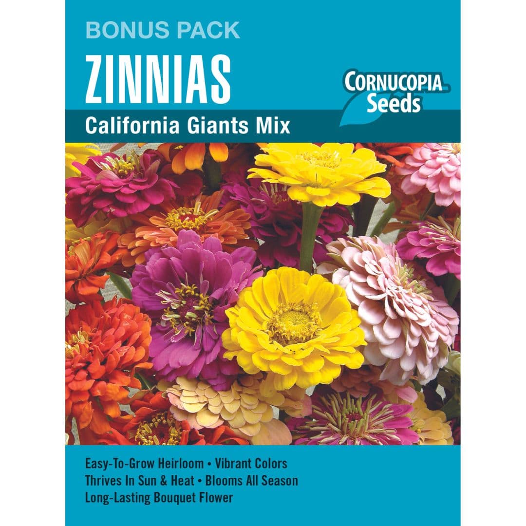 Zinnia California Giants Mixed Colours Bonus Pack - Cornucopia Seeds