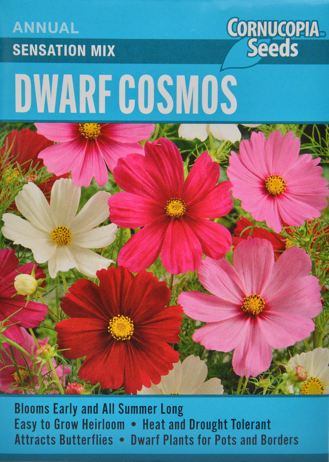 Cosmos Dwarf Sensation Mix - Cornucopia Seeds