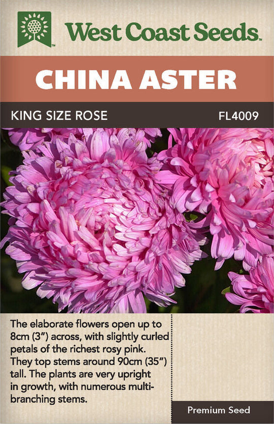 China Aster King Size Rose - West Coast Seeds