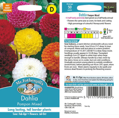 Dahlia Pompon Mixed - Mr. Fothergill's Seeds