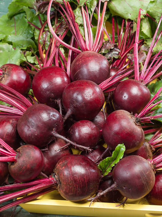 Beet Detroit Dark Red Jumbo - Ontario Seed Company