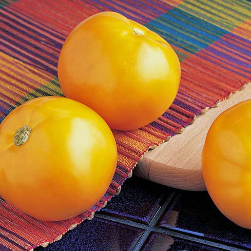 Tomato Carolina Gold - West Coast Seeds