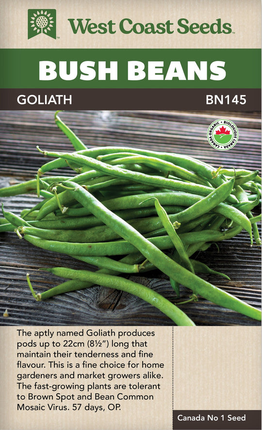 Organic Bean Goliath Bush - West Coast Seeds