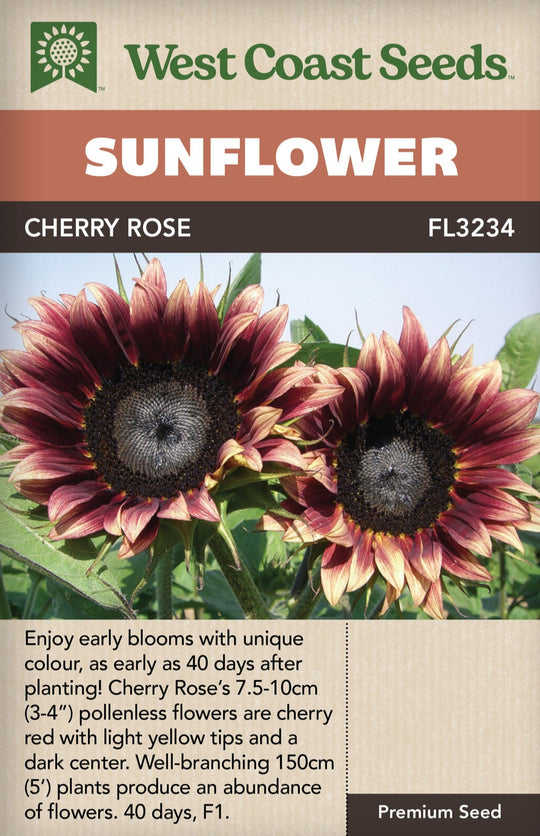 Sunflower Cherry Rose - West Coast Seeds