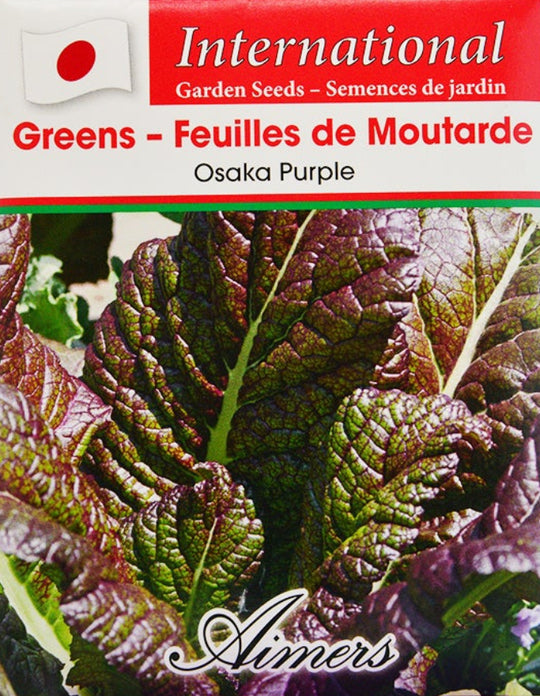 Mustard Greens Osaka Purple International - Aimers Seeds